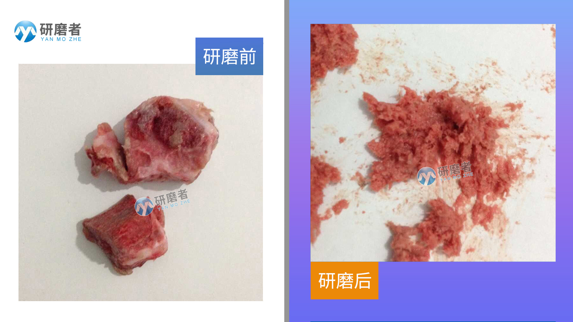 樣品的研磨效果